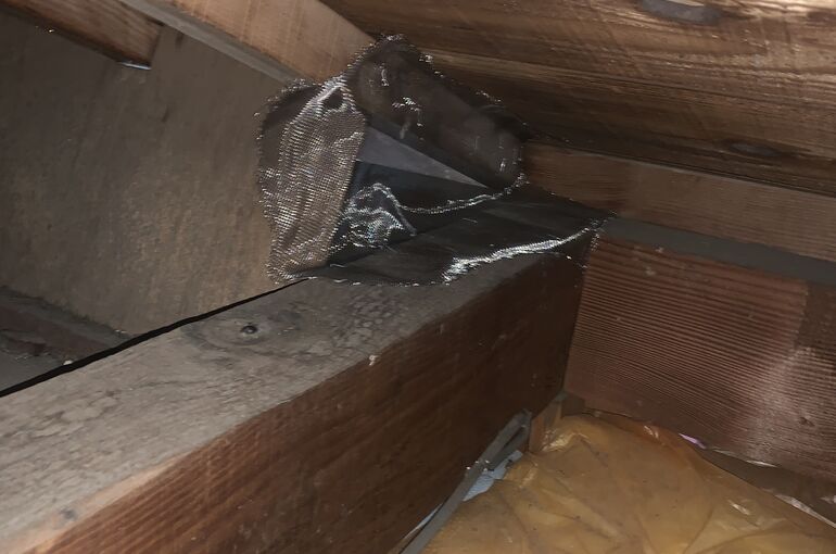 ネット