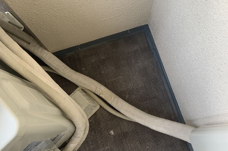 糞掃除