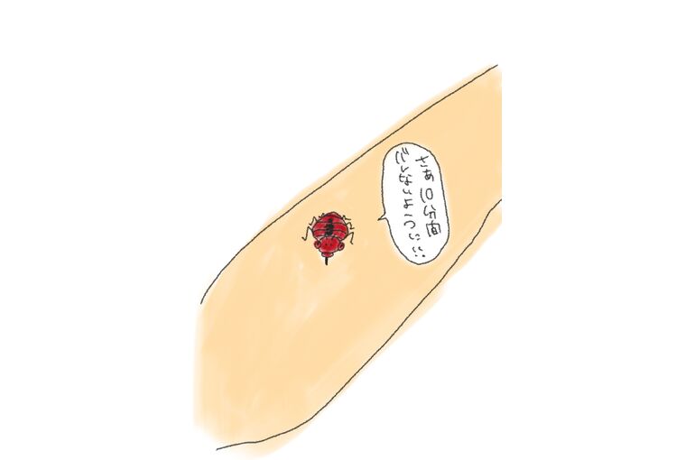 Screenshot_20220701-225712_pixiv Sketch