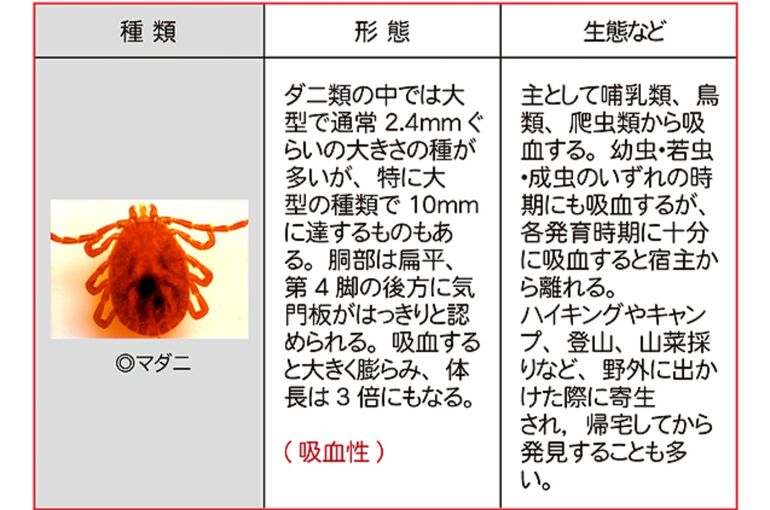 Screenshot_20220811-221835_Chrome